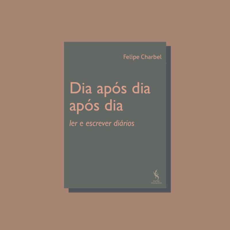 Dia após dia após dia. ler e escrever diários