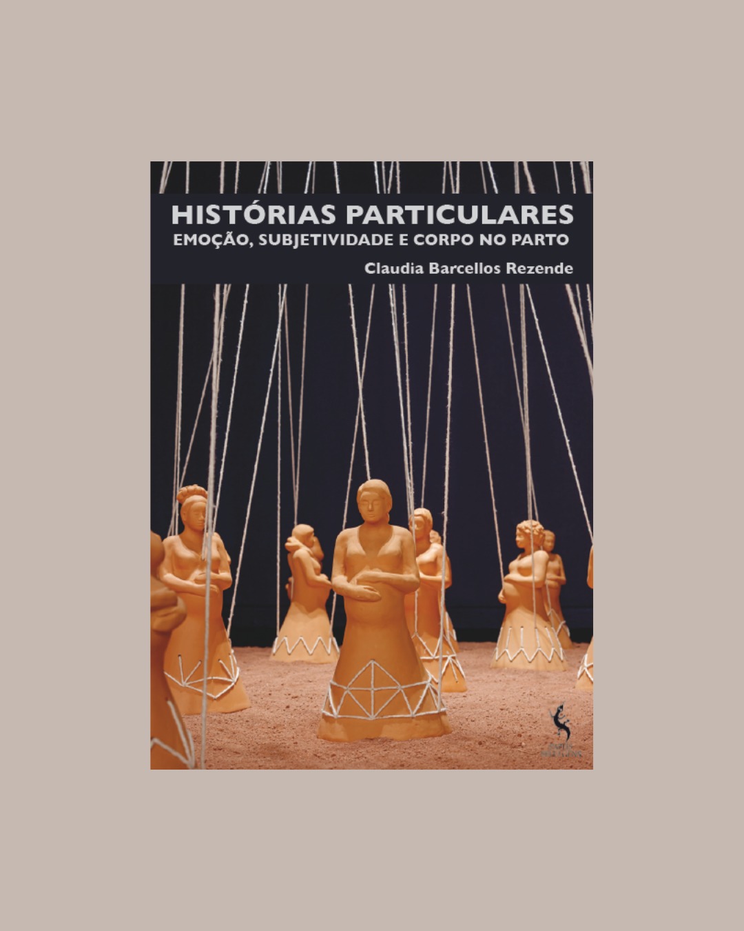 Histórias particulares. Emoção, subjetividade e corpo no parto